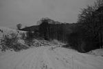 photo3