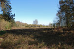 photo4